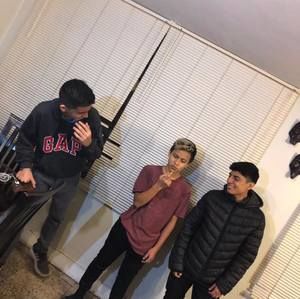 Meet your Posher, Bruno